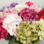 foshan home decor wedding artificial flowers hydrangeas