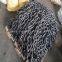protective welding chain