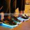 Melbourne shuffle ghost step dance Golden Micro PU leather luminous LED shoes sneakers men women footwear