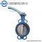 Wafer Centerline Cast Iron Viton Seat Butterfly Valve For Water D71X-10Q