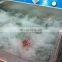 Restaurant Fruit Washing Machine Vegetable Washing Machine / Tomato Washer / Apple Washing Machine with Stainless Steel & CE