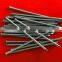 China supplier hot sale common nail
