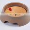 Hot Selling Anti-splash Pet Bowl Anti-choking Dogs Feeder Healthy Cats Bowl Neck Protection