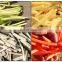 commercial stainless steel potato cutting machine french fry cutter chips machine