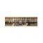 High performance custom nt855 crankshaft 3608833
