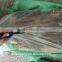 Ship Frozen Whole Argentina for Bait with size 200 - 300g