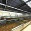 Brown Sugar Production Line Lump Sugar Making Machine