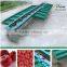Fruit grader type and new condition fruit sorting machine