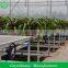 low cost greenhouse