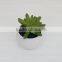 Best selling high simulation mini artificial plants and succulent with best price