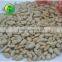 New Crop Hulled Sunflower Seed Kernels