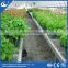 agricultural greenhouse movable seed bed bench wheel