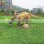 Popular outdoor park dinosaur exhibition