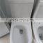 wc toilet one piece toilets ceramic bathroom washdown s-trap 250/300mm 4 inches  supplier toilet factory Y8003