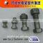 white painted head screws