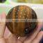 Natural Gemstones Yellow Tiger Eye Round Ball Spheres