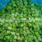 IQF Frozen celery cut with best price