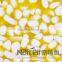  china gold suppliers, wholesale cheap lamp shade