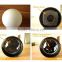 IP44 CE/RoHS 4 battery Motion Sense LED Sensor Lawn Lamp, Garden LED Motion Sense Light