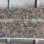 Best selling brown granite baltic brown Paving stone