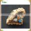 Wholesale Wooden Material Teenage Fashion Watches For Girls