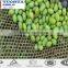 Plastic Olive Catching Net