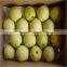 fresh crown pear