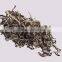 Supply wholesale strips black fungus