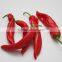 High Yield Red Hot Chili Pepper Seeds Vegetable seeds Price for sale