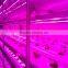 vegetable factory greenhouses