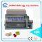 paper pulp egg tray machine with multilayer dryer egg tray machine chicken egg packaging tray/box