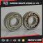 Deep groove ball Bearing 6305TN C3/C4 for conveyor idler roller