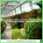 Renewable polycarbonate sheet garden greenhouses with automatic control system
