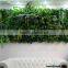 SJLJ013622 artificial green wall / decorative artificial grass wall