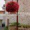 SOL New Design Hanging Flower Vase Plant Pots Hanging Hydroponics Planter
