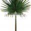 hot sale 2.8 meter coconut trees leaves, artificial coconut trees leaves