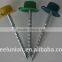 Roofing nails screw / roofing screw nails with plastic caps