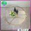 Clear Acrylic Round Coffee Table Living Room Center Tea Table Gold Metal Design