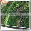 Factory Wholesale artificial grass wall decor covering plastic grass to Canada