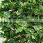 Top Quliaty Artificial Grape Garland Grape Leaves Hanging Vine