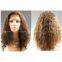 Top quality human hair full lace wigs