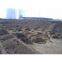 Palm kernel shell USA