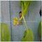 pre-cut breathable colorful hydroponics seeding sponge