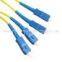 SC Fiber Optic Patch Cord