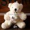 Cheap wholesale custom soft plush mini teddy bear toy keychain