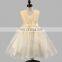 Beige Sleeveless Ballerina Toddler Dress Tulle Princess Costume Christening Gown