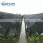 agricultural greenhouse roof covering plastic hdpe shading net outdoor sun shade with uv stabilizer