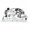 lpg cng car conversion EFI KITS small engine efi ecu kit for sale