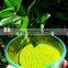 100% Organic Powder lemon leaf from Vietnam