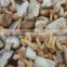 Nameko Shiitkake Oyster Cut Frozen Mixed Mushrooms with Competitive Price